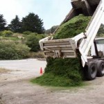 Mowed, Metallica, & Other