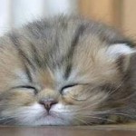 Friday & The Weekend